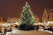 Julmarknader i Sverige
