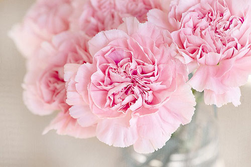 Blommor