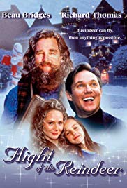 The Christmas Secret 