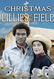 Christmas Lilies of the Field